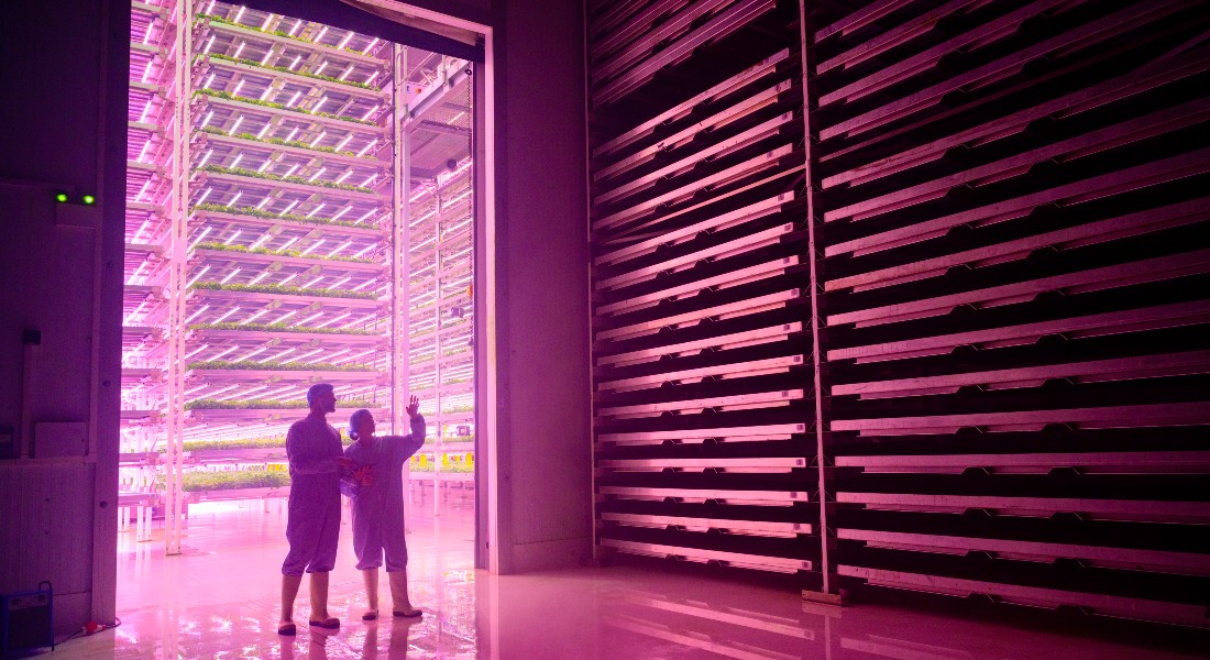 Vertical farming Vertical farming